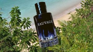 Dior Sauvage dossier.co