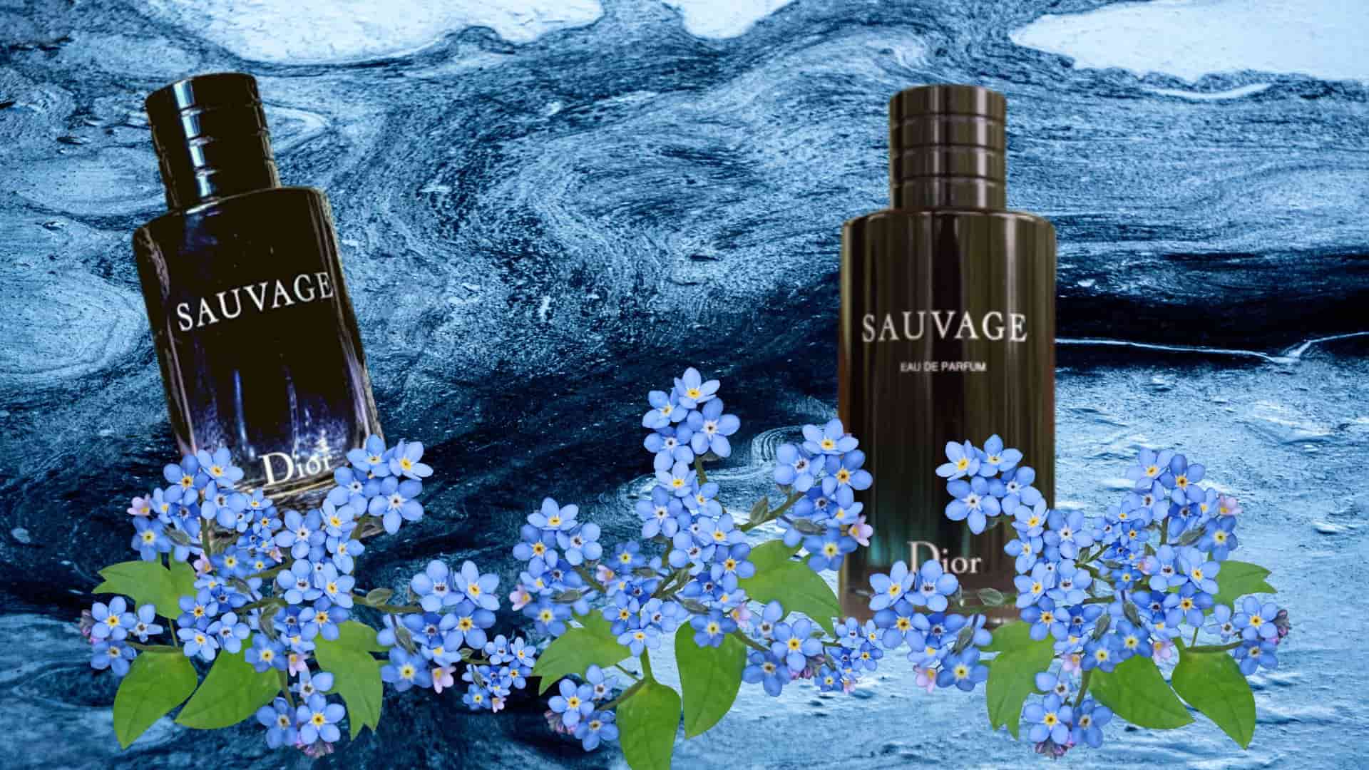 Dior Sauvage - 4 Pros and Cons of this mesmerizing perfume