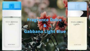 dolce and gabbana light blue dossier.co