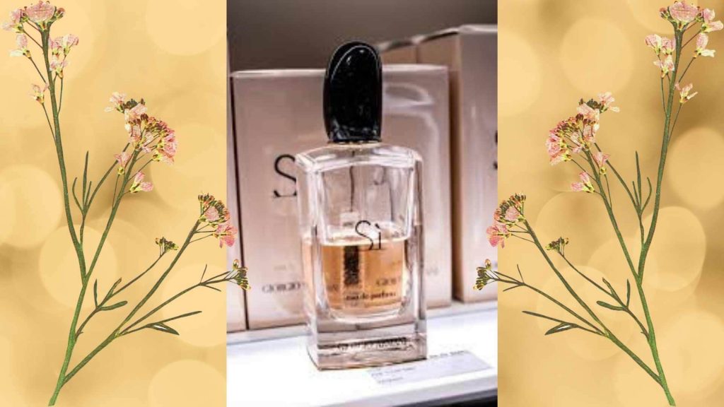 Sweet Si Giorgio Armani Dossier co Perfume/ Best in 2022